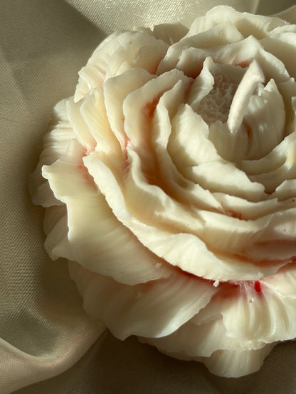 Florecer
