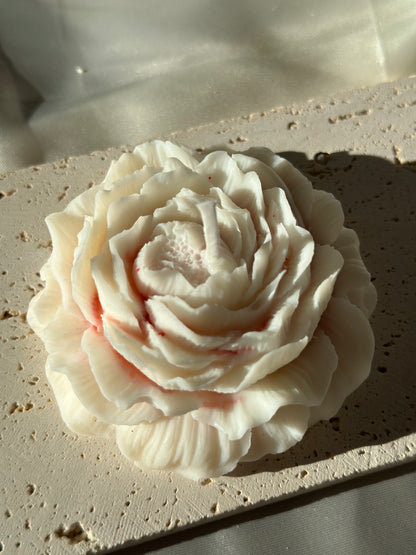 Florecer